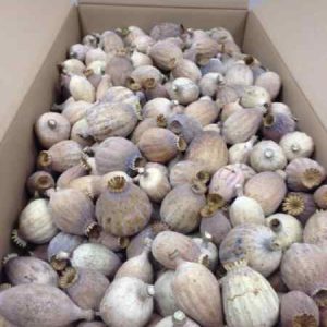 DF2 DRIED FLOWER SELECTION 4lbs